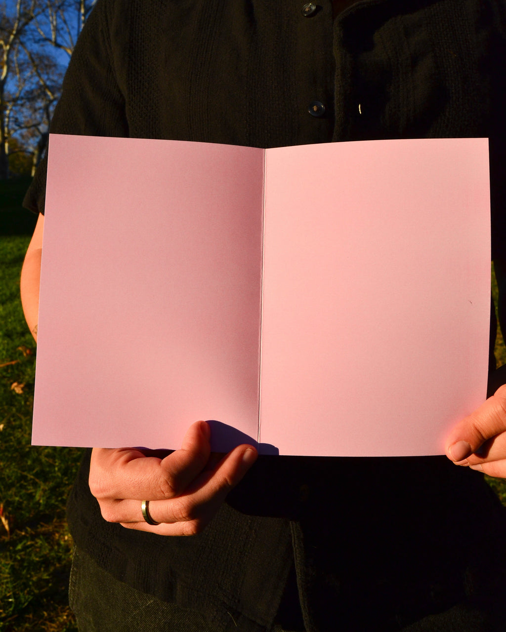 birds of a feather 🦢